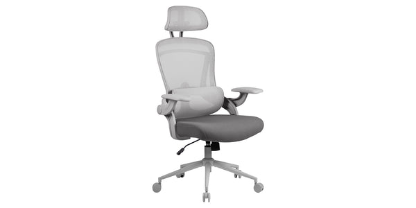 Nouhaus ErgoFit Ergonomic Mesh Office Chair