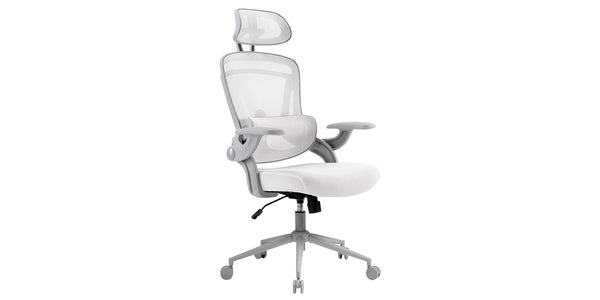 Nouhaus ErgoFit Ergonomic Mesh Office Chair