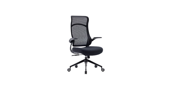 NOUHAUS Wave Ergonomic Office Chair