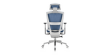 Backsife view of the ' Rewind ' Ergonomic Office Chair - Blue