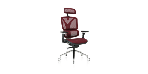 Burgundy ErgoPro Ergonomic Office Chair